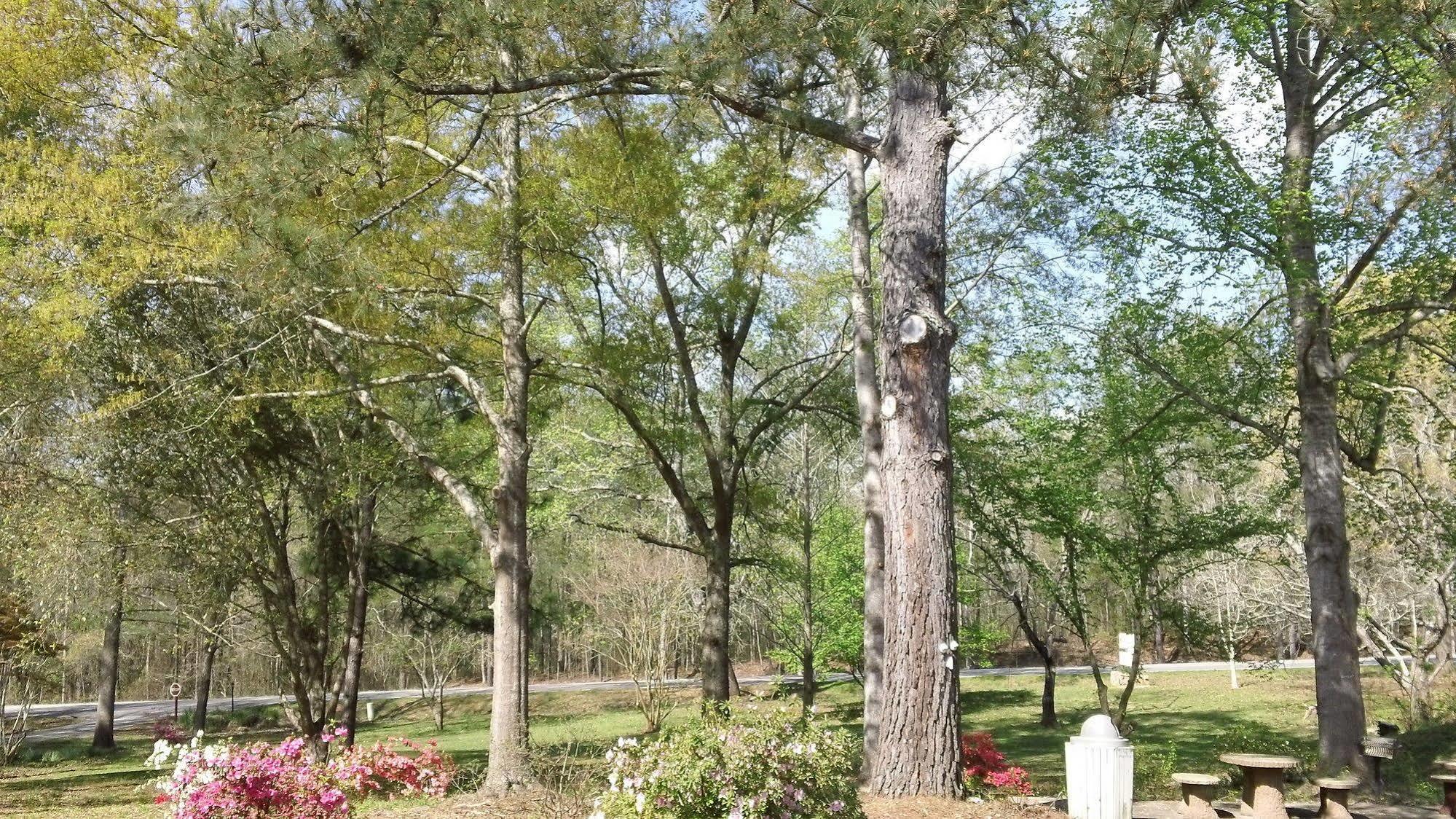 Valley Inn - Hamilton Ga Luaran gambar